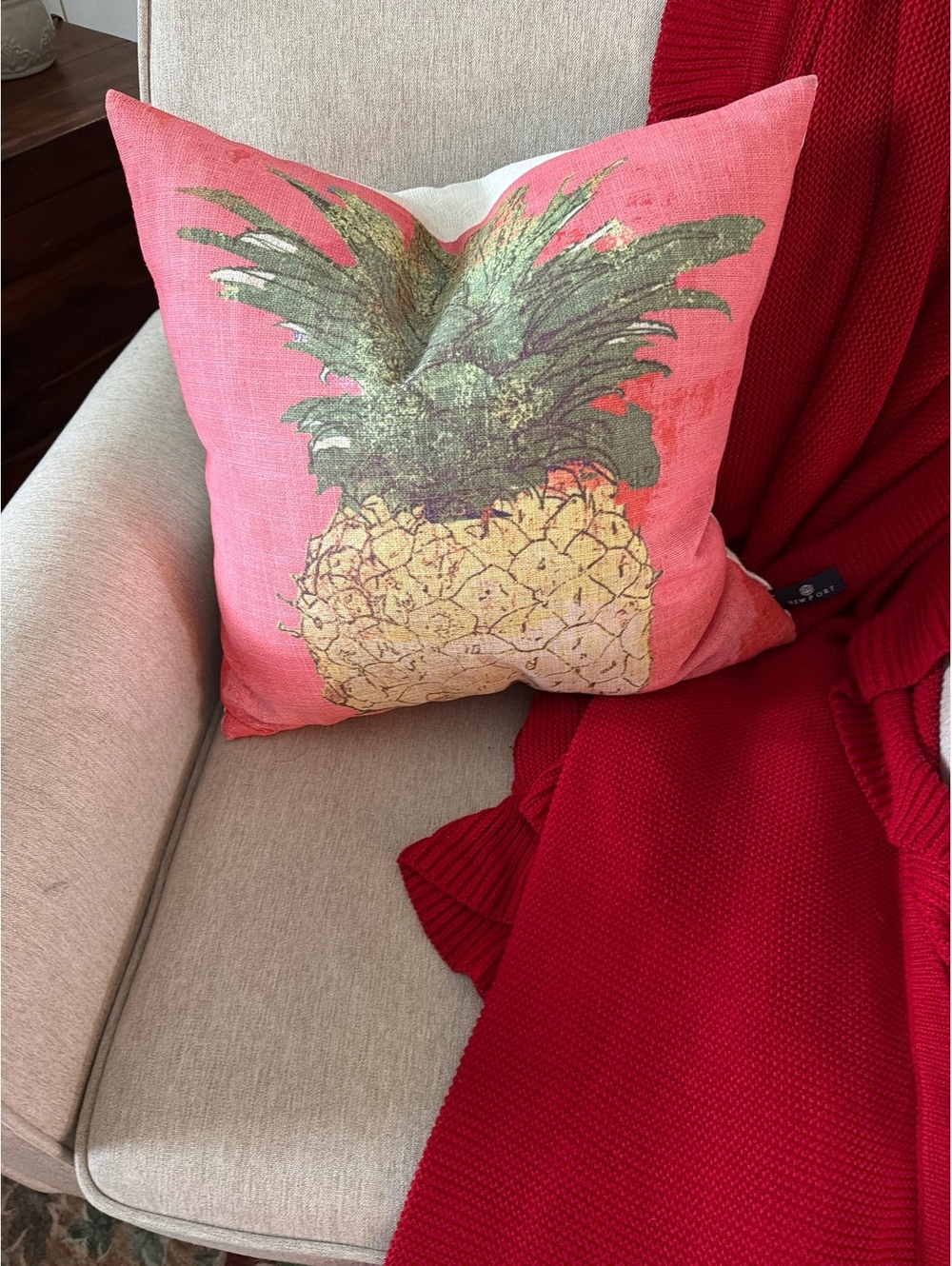Feather Newport Pineapple Print Decorative Throw Pillow with Red Knit Accent